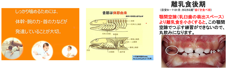 しっかり食べるためには