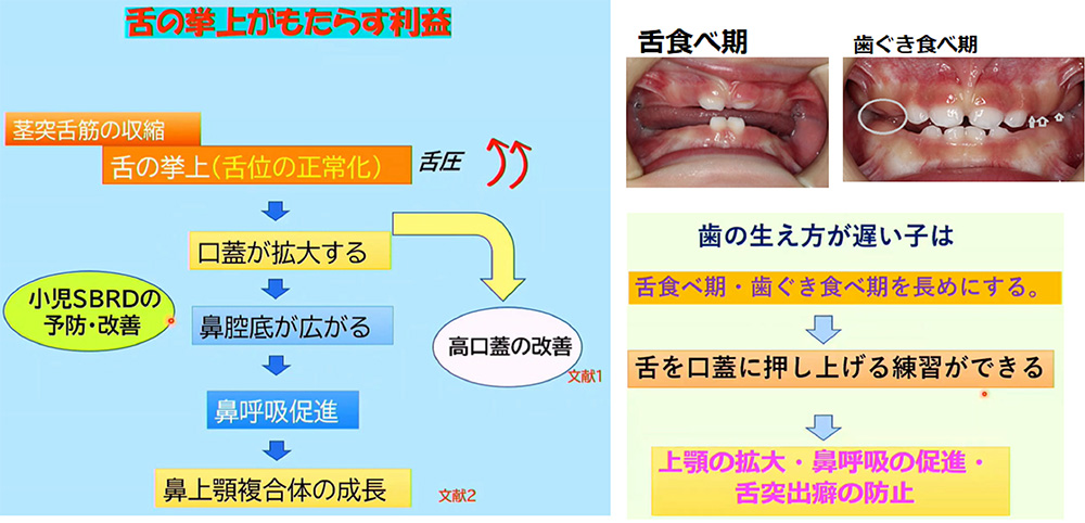 舌の挙上がもたらす利益